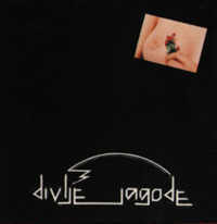 Divlje jagode (1978)